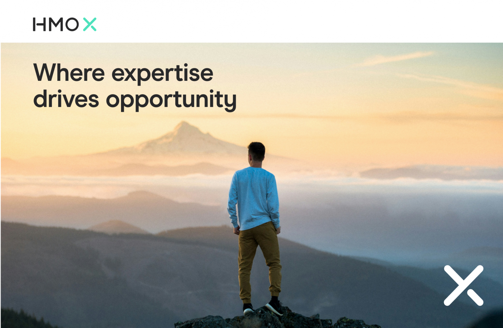 HMO-Case-study-hero-1